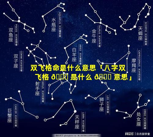 双飞格命是什么意思「八字双飞格 🕊 是什么 🍀 意思」